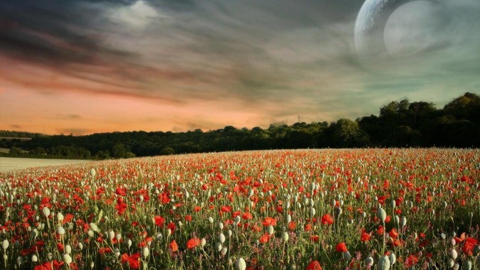 如有如此漂亮的女友,该怎么办,才能不弄丢?